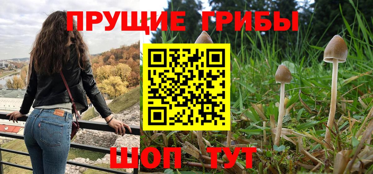 Псилоцибиновые грибы GOLDEN TEACHER  Псилоцибиновые грибы мухоморы  Переславль-Залесский  Вход с VPN 